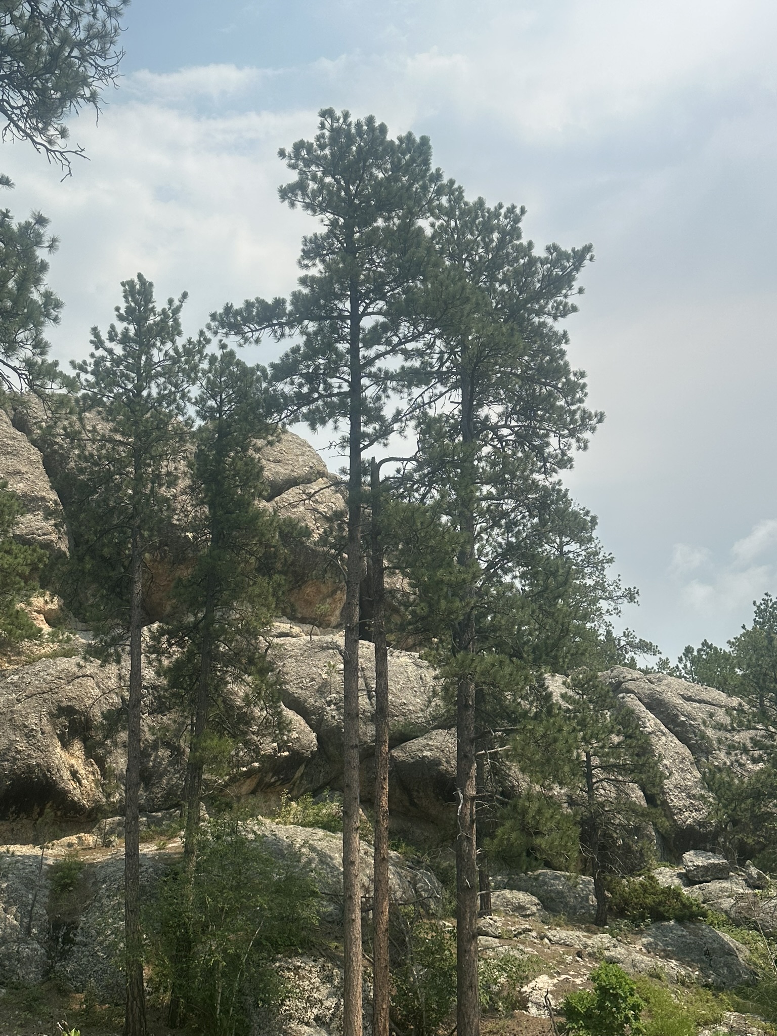 South Dakota - Image 214